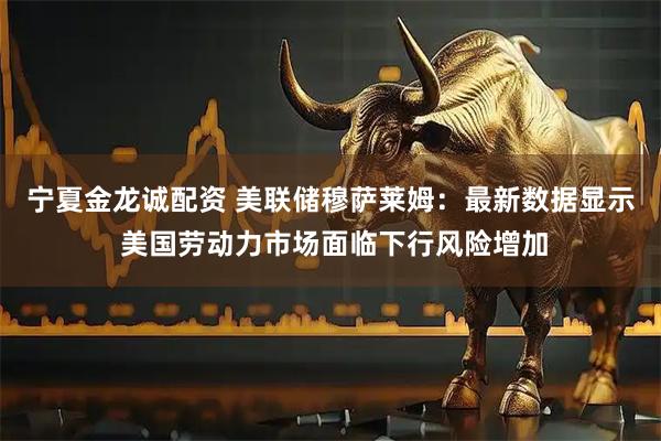 宁夏金龙诚配资 美联储穆萨莱姆：最新数据显示 美国劳动力市场面临下行风险增加