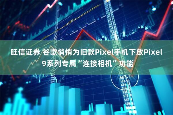旺信证券 谷歌悄悄为旧款Pixel手机下放Pixel 9系列专属“连接相机”功能
