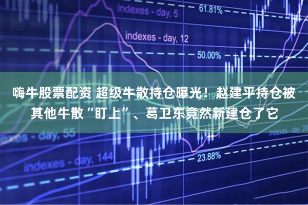嗨牛股票配资 超级牛散持仓曝光！赵建平持仓被其他牛散“盯上”、葛卫东竟然新建仓了它