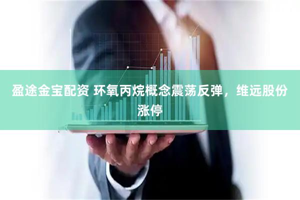 盈途金宝配资 环氧丙烷概念震荡反弹，维远股份涨停