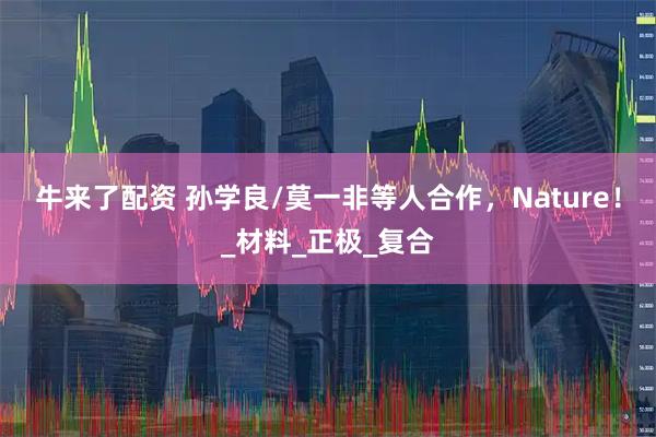 牛来了配资 孙学良/莫一非等人合作，Nature！_材料_正极_复合