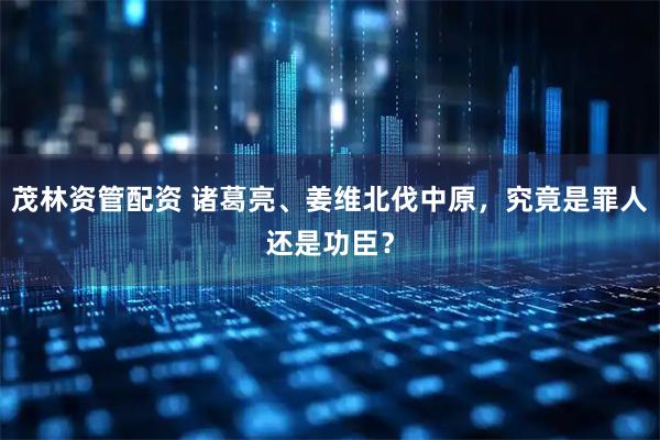 茂林资管配资 诸葛亮、姜维北伐中原，究竟是罪人还是功臣？